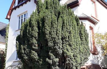 Bismarckstrasse 8 - Foto 3