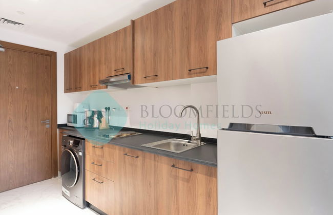 Bloomfields Relaxing STU in Oasis Masdar - Photo 5