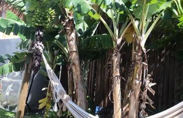 Grand Moriá Pousada Spa - Photo 8