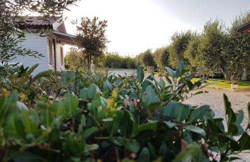 Agriturismo Macchia di Riso - Foto 7