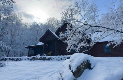 Perfect Vermont Battenkill Log Cabin - Photo 2