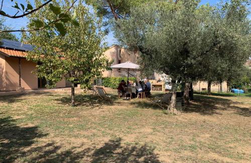 La stalla di nonno Zopito casa vacanze - Foto 28