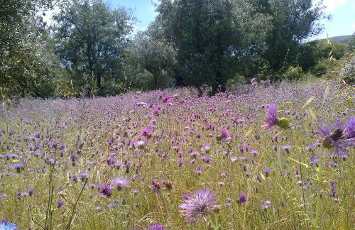 Quinta de São João - Foto 38