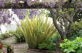 Vila Casa Do Sobral - Foto 26