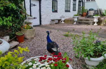 Old Printers Ruthin - Photo 1