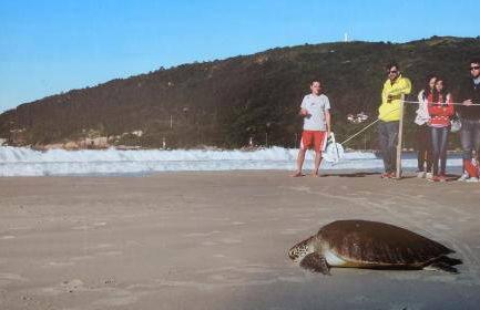 Studios Formanabá - Foto 61