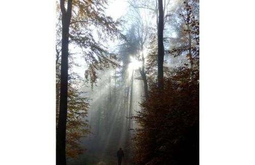 Holiday apartment Bambi in the house at the linden - Foto 12