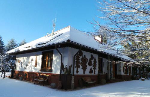 Dom na Leśnym Zaciszu 2 - Foto 49