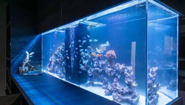 JAPAVISTA Aqua - Foto 2, Habitación