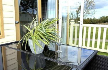 Seashell Retreat - Foto 45