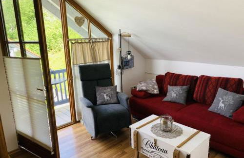 Ferienland Sonnenwald Fewo 46 und Studio 50 in Schöfweg Bayerischer Wald - Foto 15