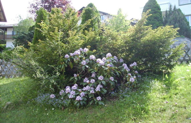 Vakantiehuis Becker-schmidt - Foto 15