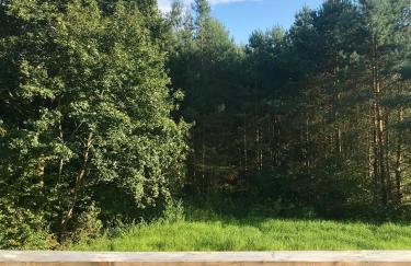 Srokowski Dwór 1 - Stara Kuźnia - Prywatna Sauna ! - Foto 40