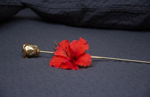 Dione Apartments - Foto 27