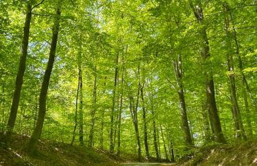 Apartamenty Gajewscy - Foto 27