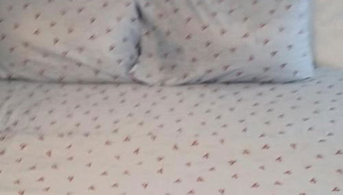 Travellers choice - Photo 1