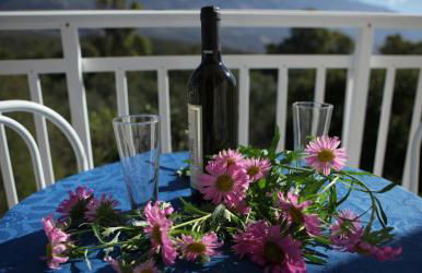 Blue White Apartments - Kefallonia Poolside Retreats - Foto 12