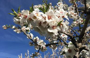 Cortijo Balzain - Foto 14