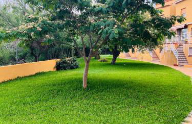 ADOSADO OLIVA NOVA 80 metros playa - Photo 39