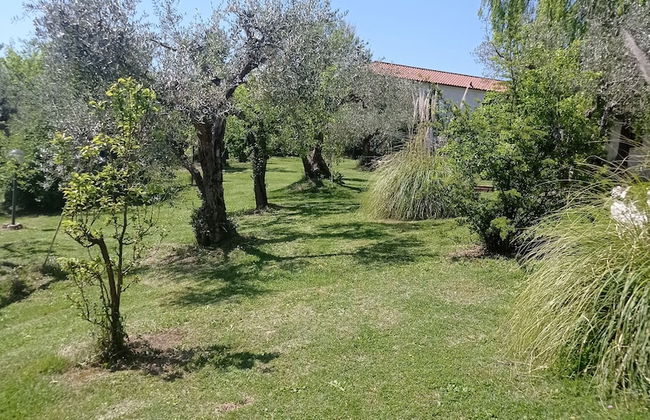 Captivating 1-bed Apartment in Gallinaro - Foto 8