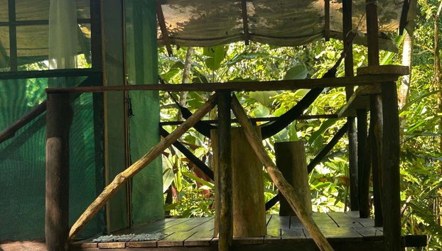 1 or 2-Day Tour of Río Agujitas Farm - Photo 5