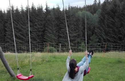 Sigmundenhof Schonach - Foto 6