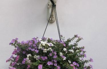 Ferienwohnung Einbeck FeWo B Nolte - Photo 63