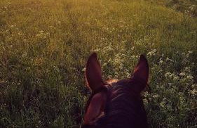 Domek Kozacki - Foto 14