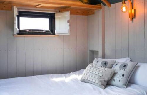 Wilksworth Caravan Park - Photo 50