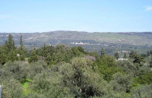 Villa Aloni-traditional Stone Villa With Nice View,pool and Garden - Foto 111