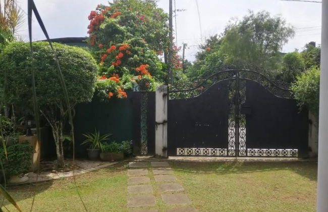 Blossoms Apartment - Photo 15