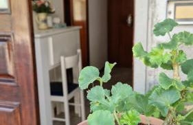 Case Tevere - Foto 12