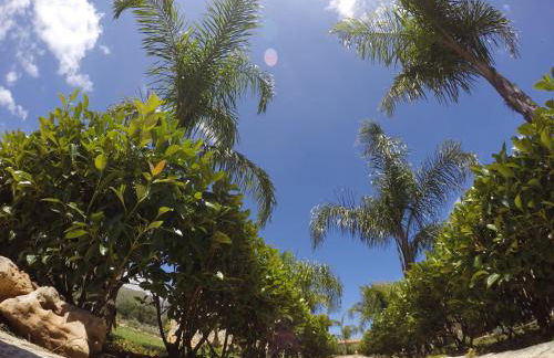 Residence I Faraglioni - Foto 40