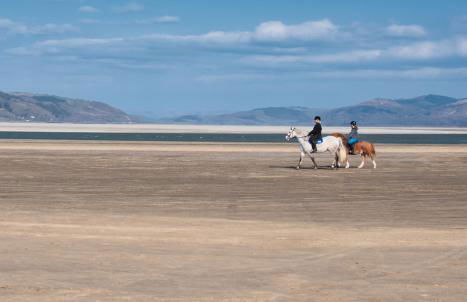 Enlli Fach cabin sleep's 2 adults and 2 children 2 dogs welcome not suitable for contract workers due to parking height restrictions - Photo 17