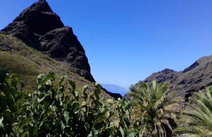 Casa Rural La Tinta - Foto 39