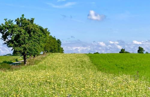 Ferienwohnungen Zur Biberburg - Foto 12