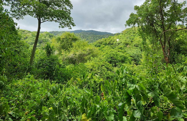 Tayrona Park Day Trip - Photo 3