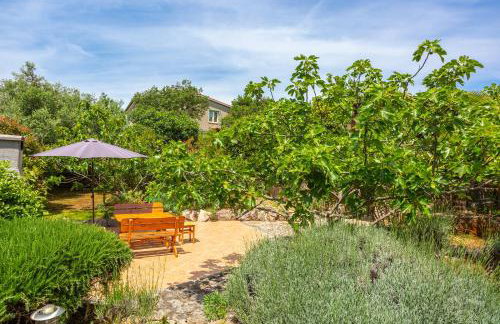 Apartments Villa Temer - Photo 49