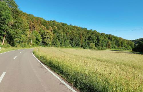 Blaustein Loft - Foto 28