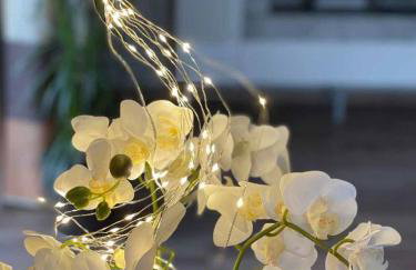 Ferienhaus Woidzauber - Foto 12