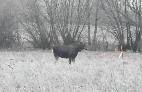 Ostoja Stacze - Foto 17