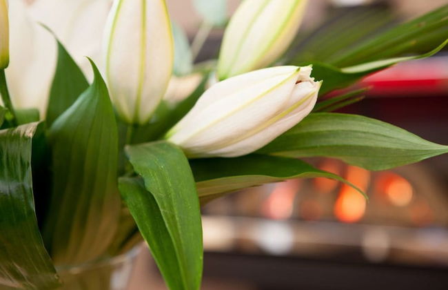 Heads Nook Hall Cottage - Foto 27