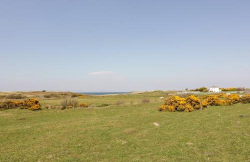 Ailsa Shores - Photo 39