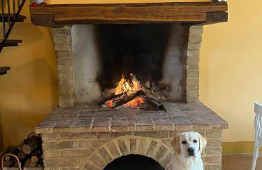 Podere Sant'Antonio - Foto 53