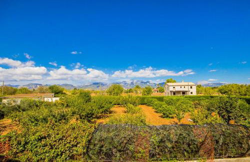 Can Pascolet - Foto 42