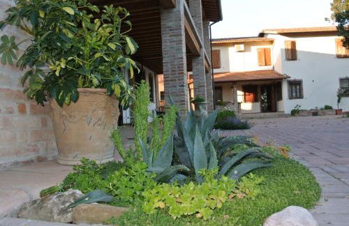 Il Ghiandolino - Foto 8