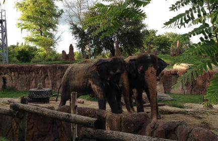 Grant Park Estate - Photo 45