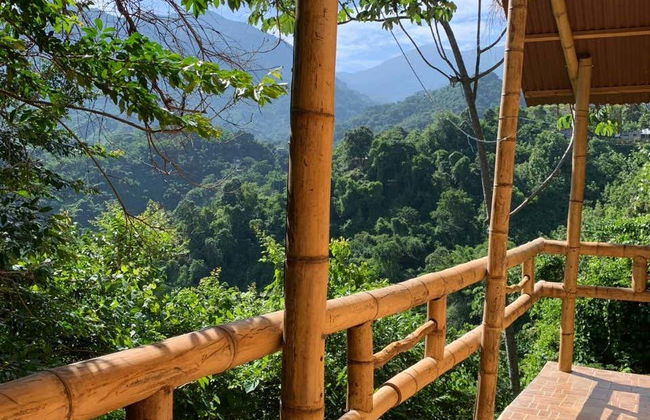 Hiking in the Minca Jungle - Photo 8