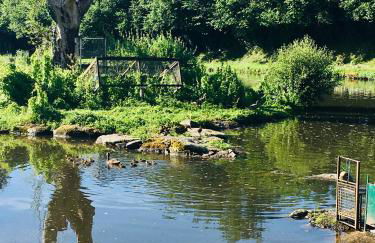 Le refuge des canards - Foto 1