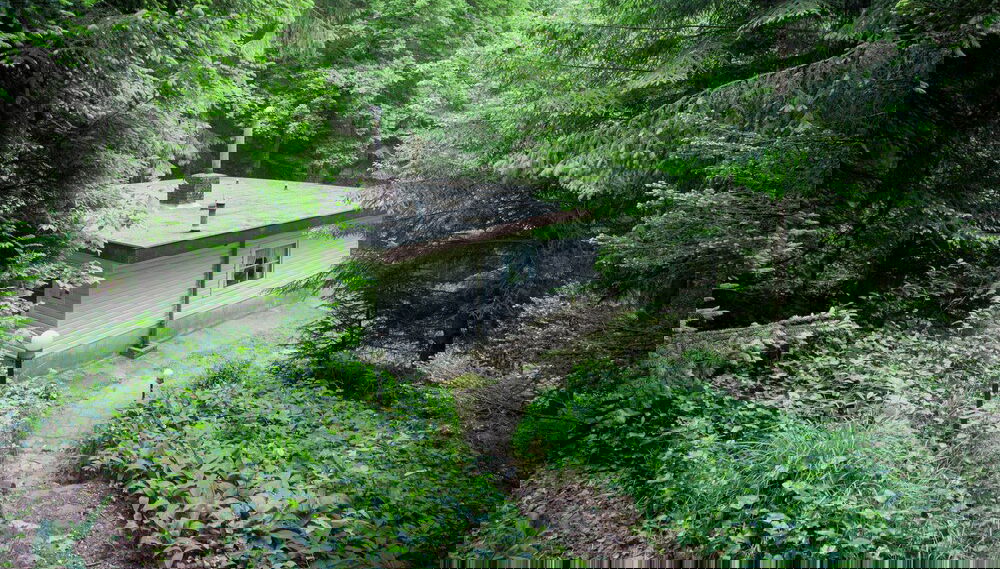 Forest Chalet in Lanklaar - Foto 1